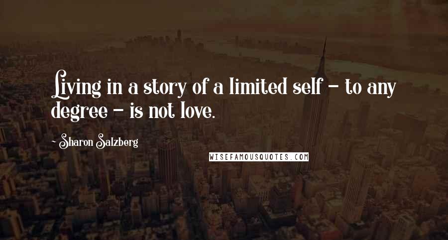 Sharon Salzberg Quotes: Living in a story of a limited self - to any degree - is not love.