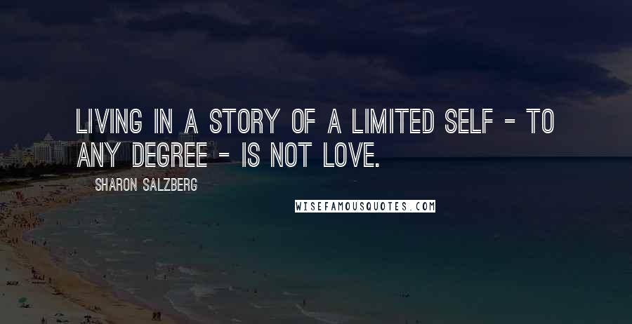 Sharon Salzberg Quotes: Living in a story of a limited self - to any degree - is not love.