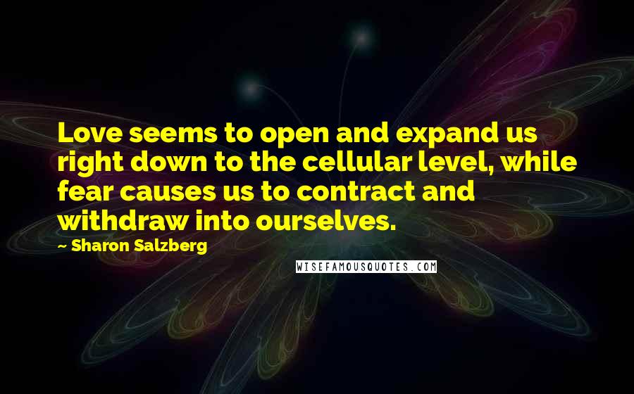 Sharon Salzberg Quotes: Love seems to open and expand us right down to the cellular level, while fear causes us to contract and withdraw into ourselves.