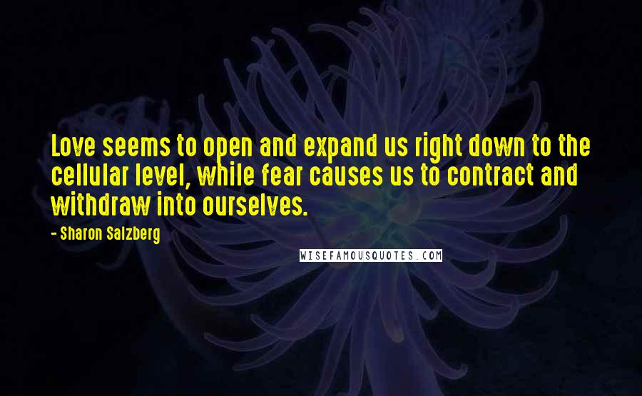 Sharon Salzberg Quotes: Love seems to open and expand us right down to the cellular level, while fear causes us to contract and withdraw into ourselves.
