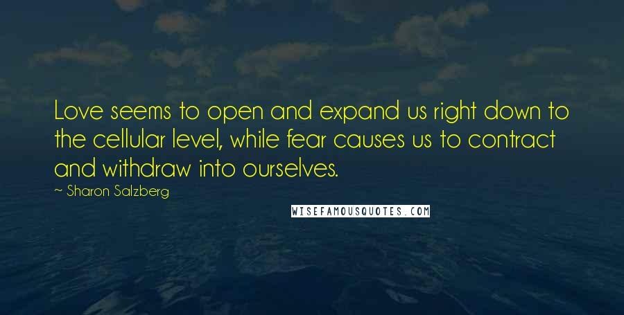 Sharon Salzberg Quotes: Love seems to open and expand us right down to the cellular level, while fear causes us to contract and withdraw into ourselves.