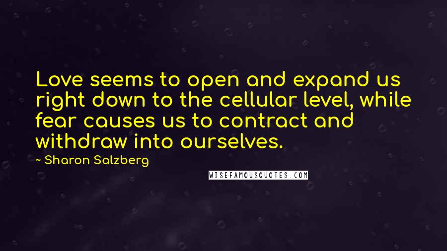 Sharon Salzberg Quotes: Love seems to open and expand us right down to the cellular level, while fear causes us to contract and withdraw into ourselves.