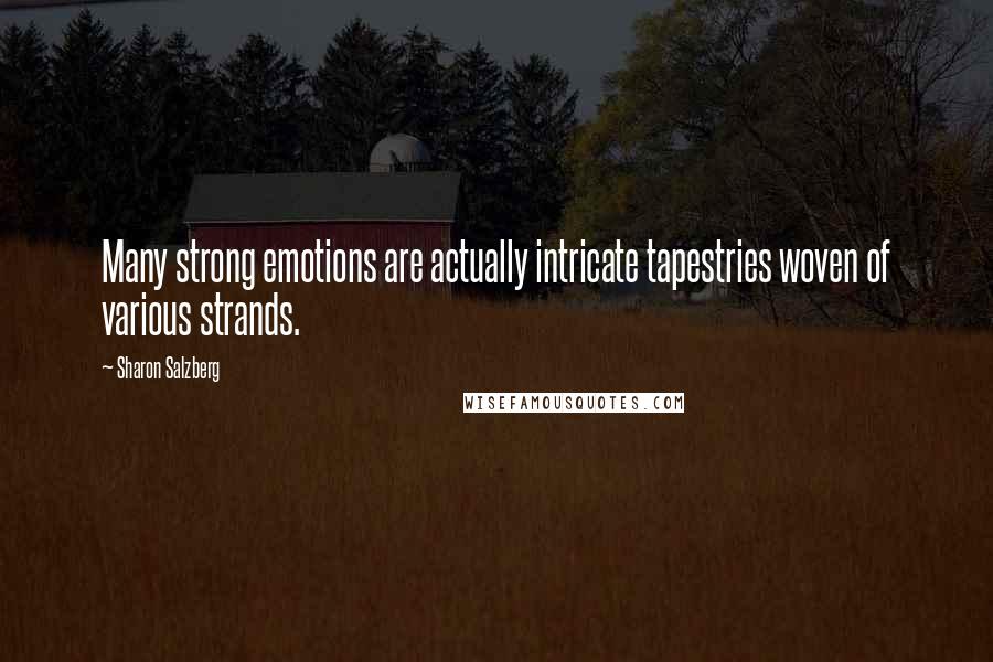 Sharon Salzberg Quotes: Many strong emotions are actually intricate tapestries woven of various strands.