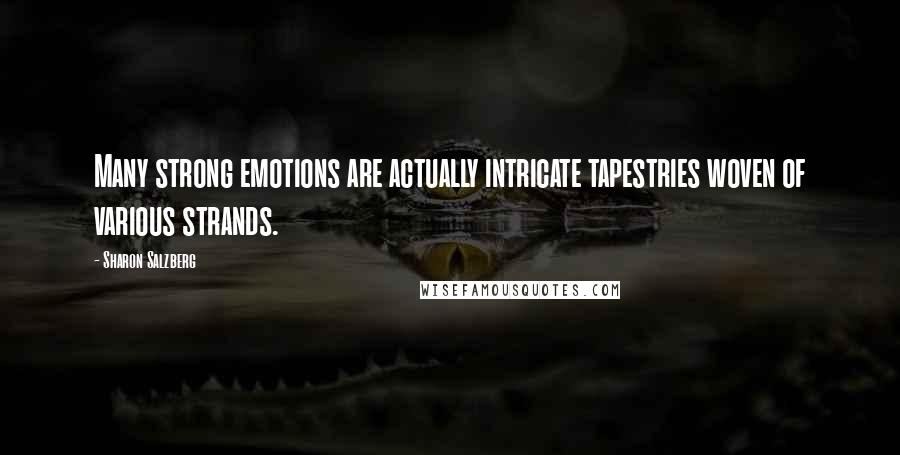 Sharon Salzberg Quotes: Many strong emotions are actually intricate tapestries woven of various strands.