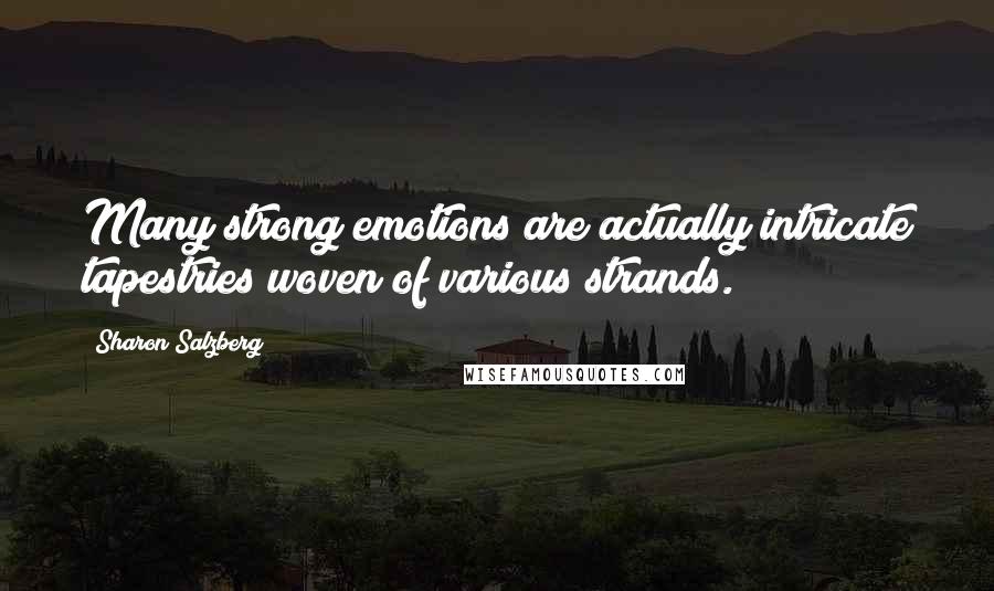 Sharon Salzberg Quotes: Many strong emotions are actually intricate tapestries woven of various strands.