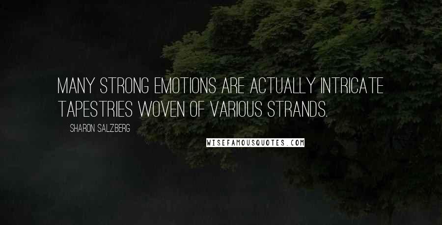 Sharon Salzberg Quotes: Many strong emotions are actually intricate tapestries woven of various strands.