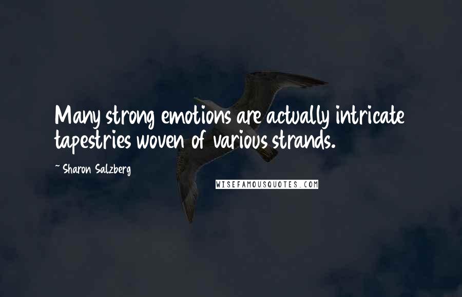 Sharon Salzberg Quotes: Many strong emotions are actually intricate tapestries woven of various strands.