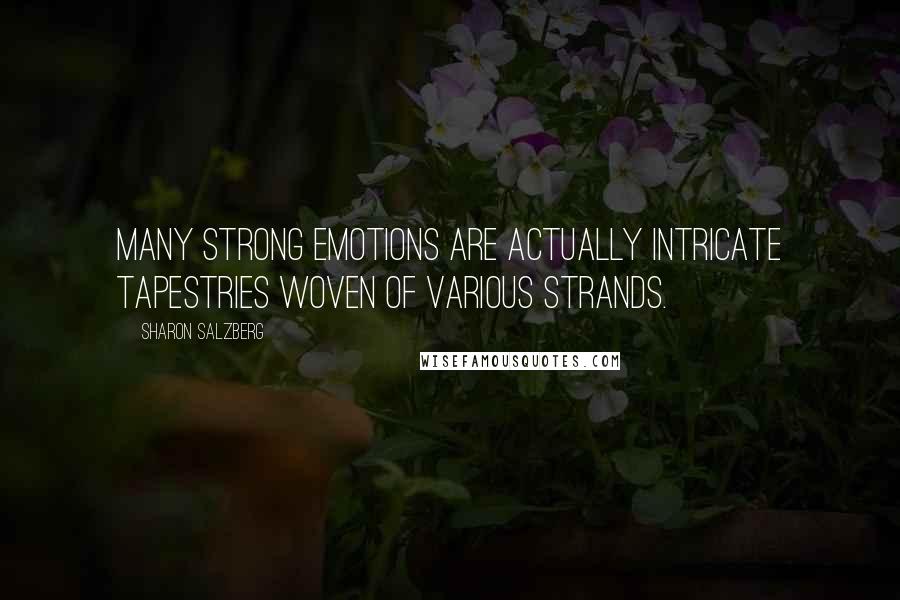 Sharon Salzberg Quotes: Many strong emotions are actually intricate tapestries woven of various strands.