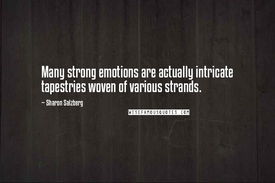 Sharon Salzberg Quotes: Many strong emotions are actually intricate tapestries woven of various strands.