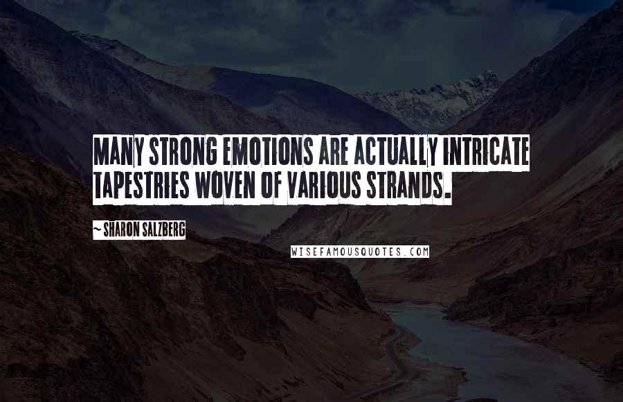 Sharon Salzberg Quotes: Many strong emotions are actually intricate tapestries woven of various strands.