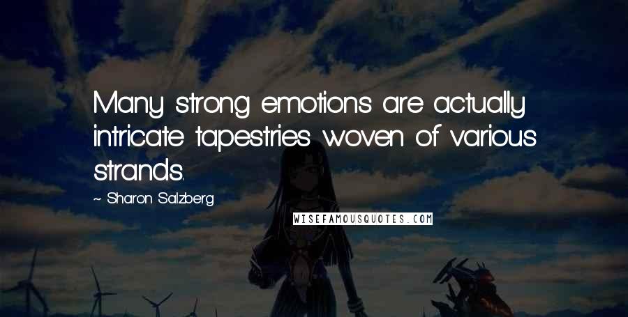 Sharon Salzberg Quotes: Many strong emotions are actually intricate tapestries woven of various strands.