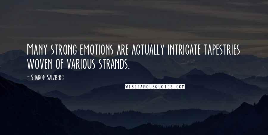 Sharon Salzberg Quotes: Many strong emotions are actually intricate tapestries woven of various strands.