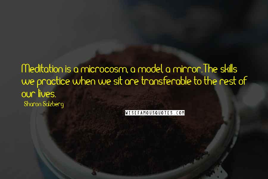 Sharon Salzberg Quotes: Meditation is a microcosm, a model, a mirror. The skills we practice when we sit are transferable to the rest of our lives.