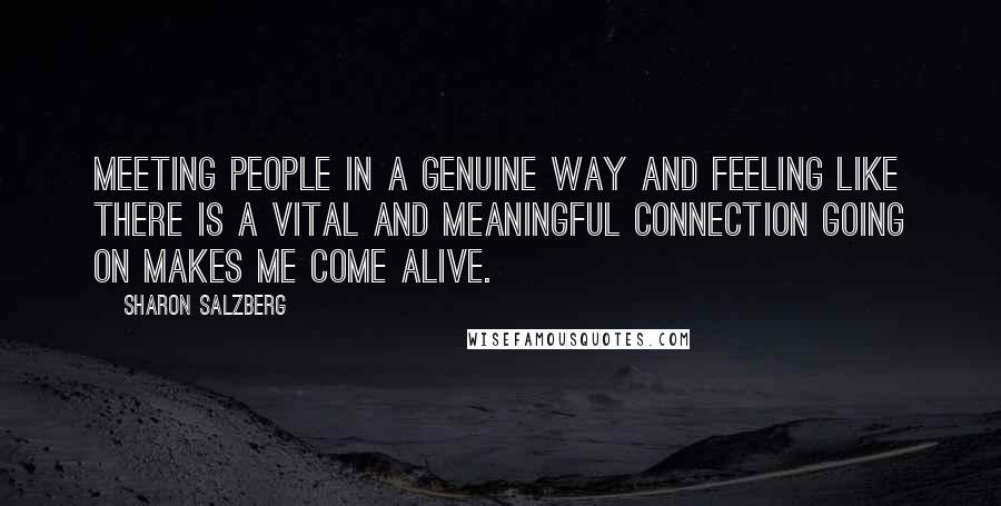 Sharon Salzberg Quotes: Meeting people in a genuine way and feeling like there is a vital and meaningful connection going on makes me come alive.