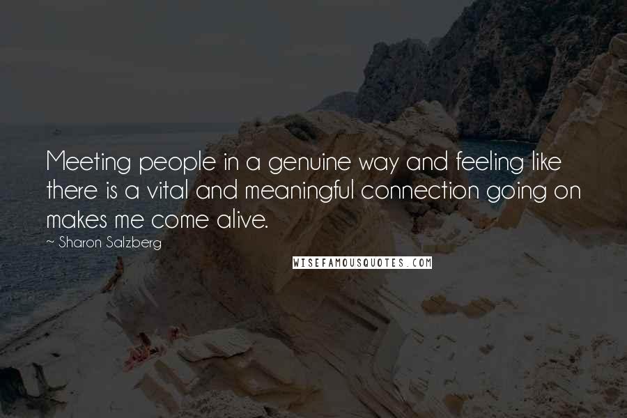 Sharon Salzberg Quotes: Meeting people in a genuine way and feeling like there is a vital and meaningful connection going on makes me come alive.