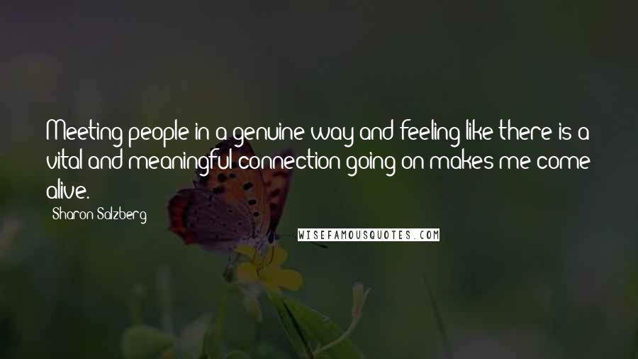 Sharon Salzberg Quotes: Meeting people in a genuine way and feeling like there is a vital and meaningful connection going on makes me come alive.