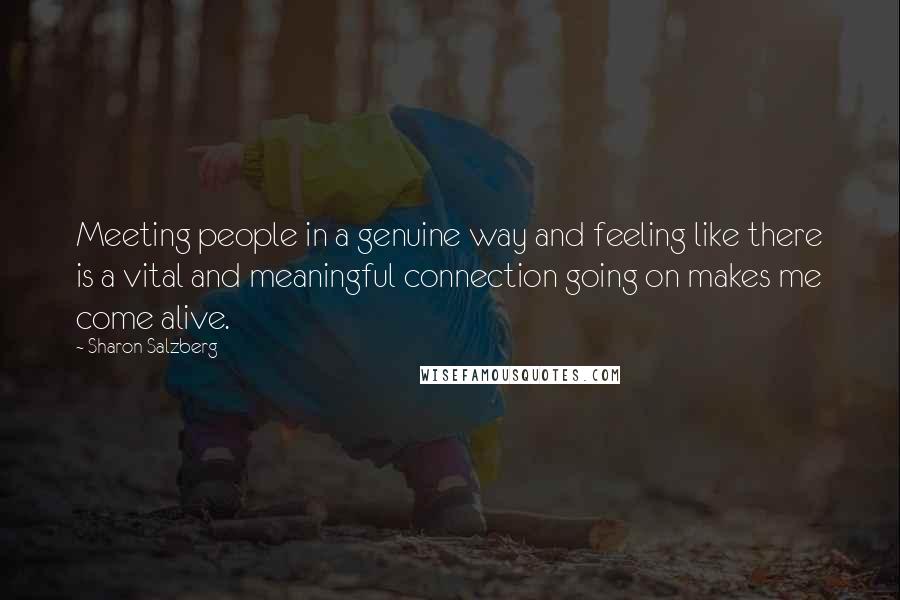 Sharon Salzberg Quotes: Meeting people in a genuine way and feeling like there is a vital and meaningful connection going on makes me come alive.