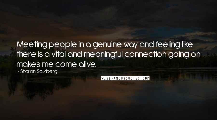 Sharon Salzberg Quotes: Meeting people in a genuine way and feeling like there is a vital and meaningful connection going on makes me come alive.