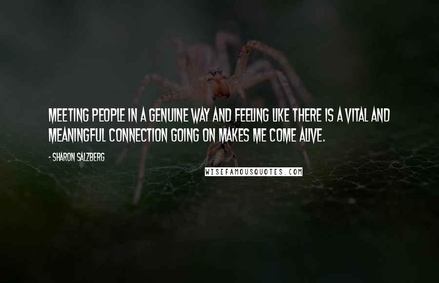 Sharon Salzberg Quotes: Meeting people in a genuine way and feeling like there is a vital and meaningful connection going on makes me come alive.