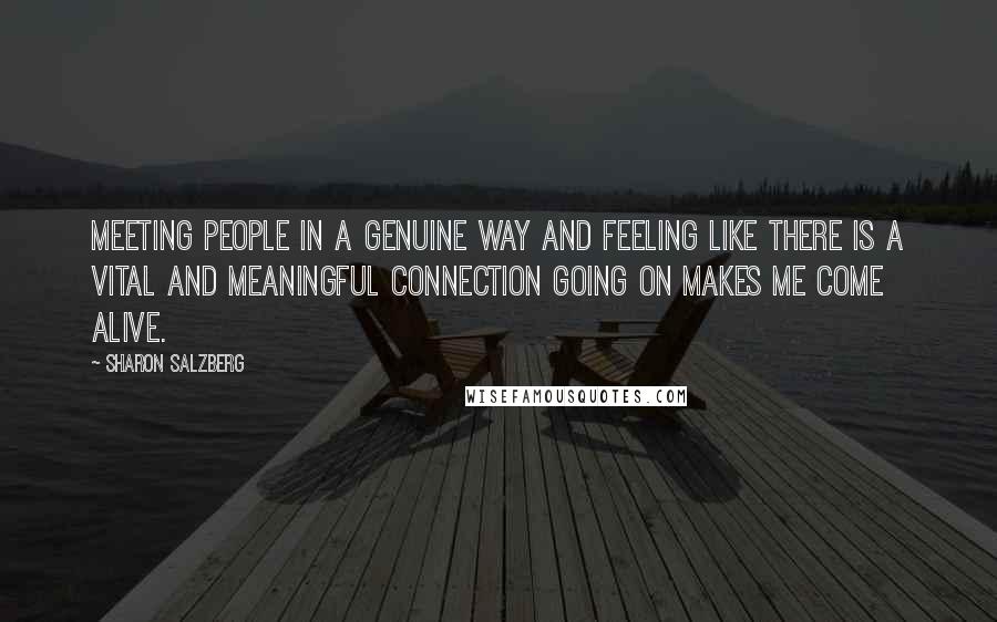 Sharon Salzberg Quotes: Meeting people in a genuine way and feeling like there is a vital and meaningful connection going on makes me come alive.