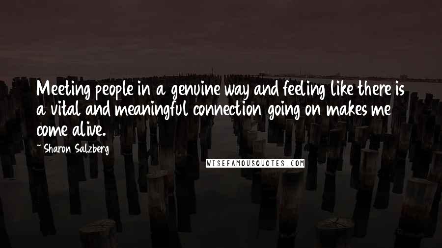 Sharon Salzberg Quotes: Meeting people in a genuine way and feeling like there is a vital and meaningful connection going on makes me come alive.