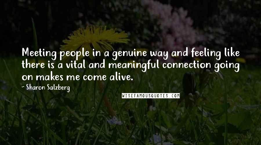 Sharon Salzberg Quotes: Meeting people in a genuine way and feeling like there is a vital and meaningful connection going on makes me come alive.