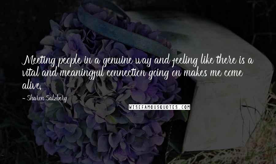 Sharon Salzberg Quotes: Meeting people in a genuine way and feeling like there is a vital and meaningful connection going on makes me come alive.