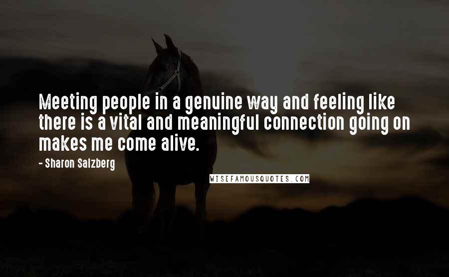 Sharon Salzberg Quotes: Meeting people in a genuine way and feeling like there is a vital and meaningful connection going on makes me come alive.