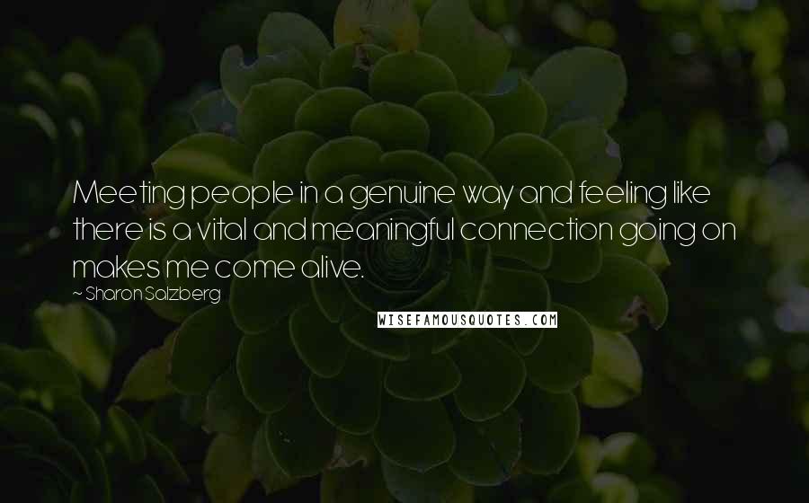 Sharon Salzberg Quotes: Meeting people in a genuine way and feeling like there is a vital and meaningful connection going on makes me come alive.