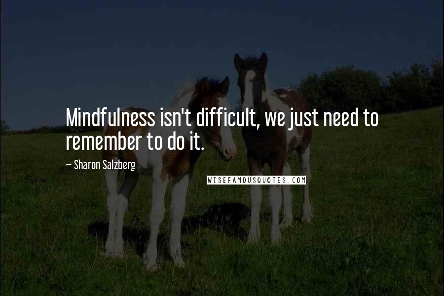 Sharon Salzberg Quotes: Mindfulness isn't difficult, we just need to remember to do it.