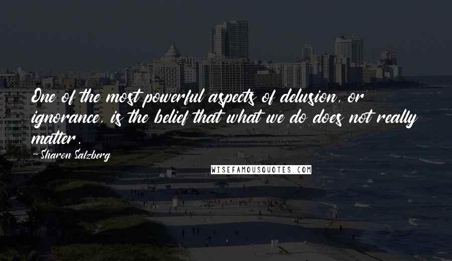 Sharon Salzberg Quotes: One of the most powerful aspects of delusion, or ignorance, is the belief that what we do does not really matter.