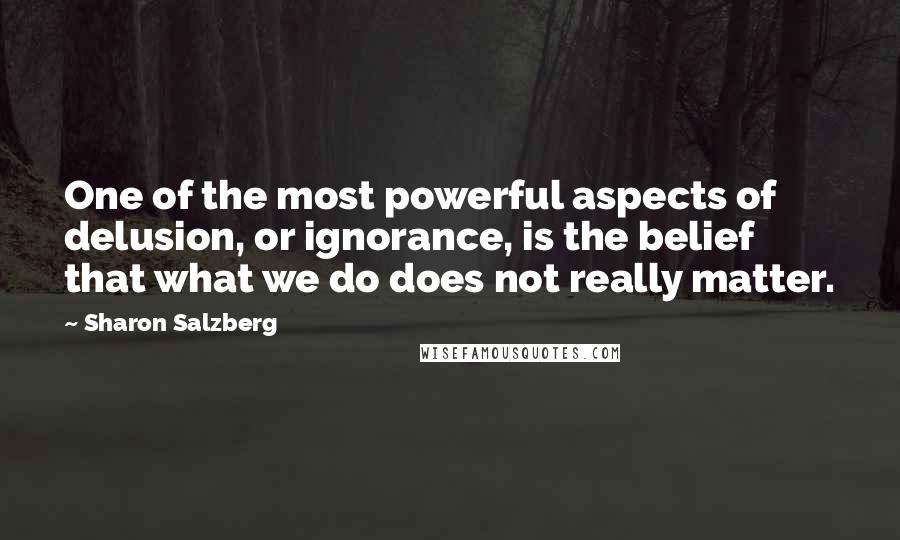Sharon Salzberg Quotes: One of the most powerful aspects of delusion, or ignorance, is the belief that what we do does not really matter.