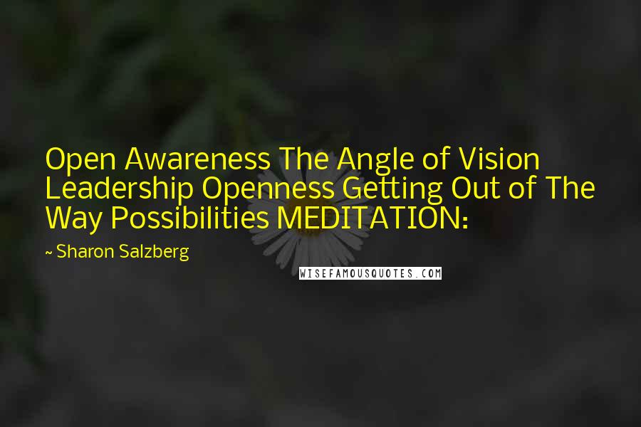 Sharon Salzberg Quotes: Open Awareness The Angle of Vision Leadership Openness Getting Out of The Way Possibilities MEDITATION: