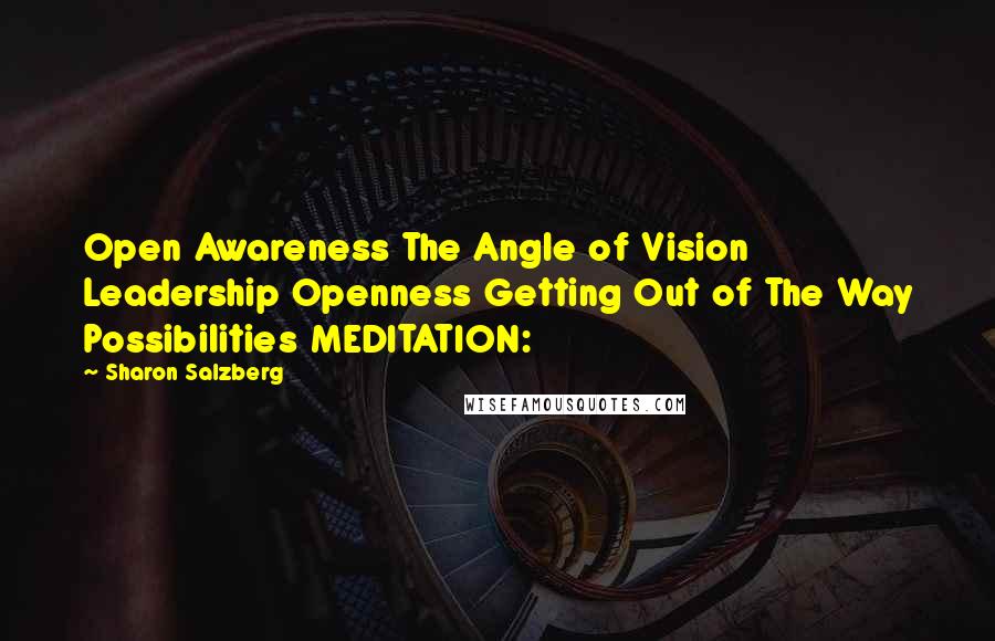 Sharon Salzberg Quotes: Open Awareness The Angle of Vision Leadership Openness Getting Out of The Way Possibilities MEDITATION: