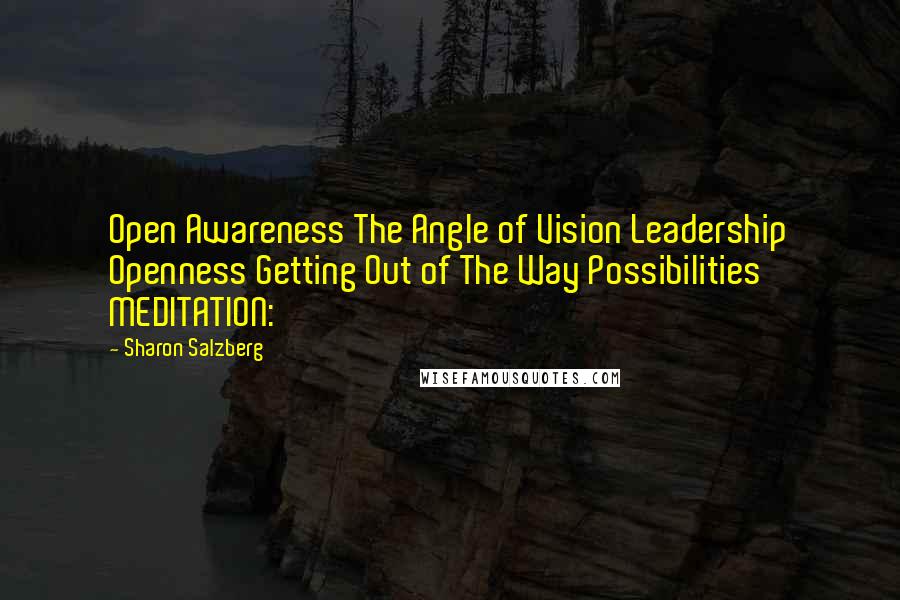Sharon Salzberg Quotes: Open Awareness The Angle of Vision Leadership Openness Getting Out of The Way Possibilities MEDITATION: