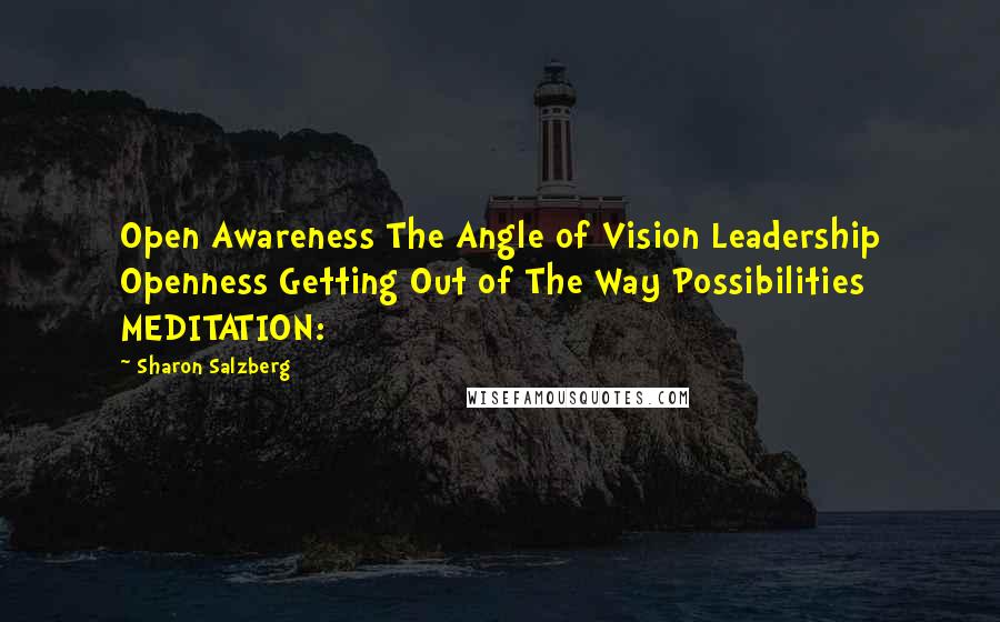 Sharon Salzberg Quotes: Open Awareness The Angle of Vision Leadership Openness Getting Out of The Way Possibilities MEDITATION: