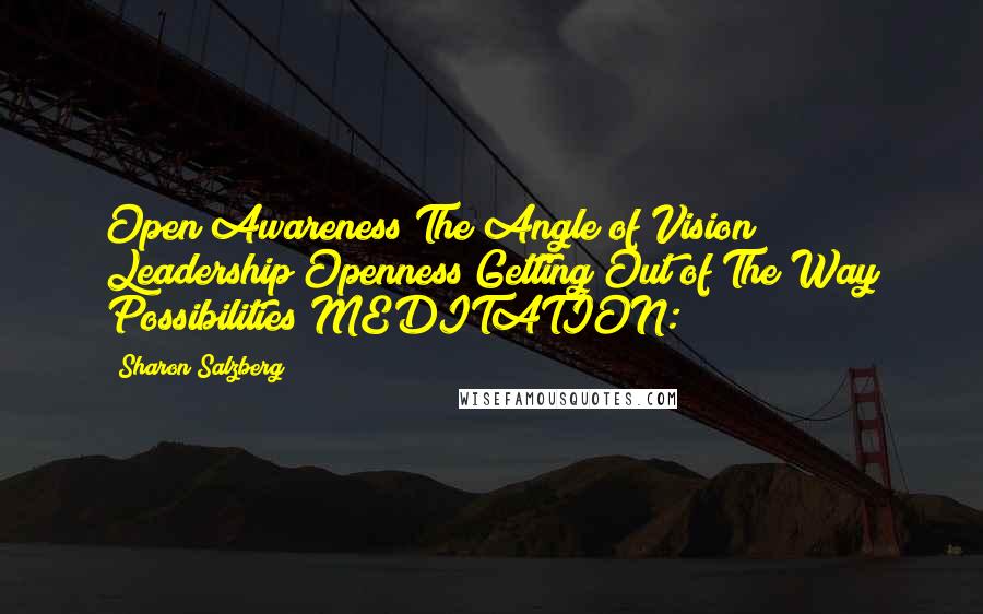 Sharon Salzberg Quotes: Open Awareness The Angle of Vision Leadership Openness Getting Out of The Way Possibilities MEDITATION: