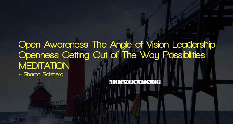 Sharon Salzberg Quotes: Open Awareness The Angle of Vision Leadership Openness Getting Out of The Way Possibilities MEDITATION: