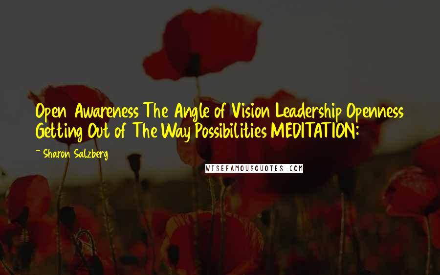 Sharon Salzberg Quotes: Open Awareness The Angle of Vision Leadership Openness Getting Out of The Way Possibilities MEDITATION: