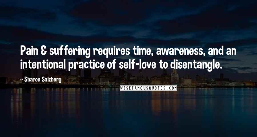 Sharon Salzberg Quotes: Pain & suffering requires time, awareness, and an intentional practice of self-love to disentangle.