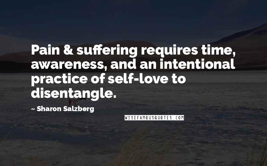 Sharon Salzberg Quotes: Pain & suffering requires time, awareness, and an intentional practice of self-love to disentangle.