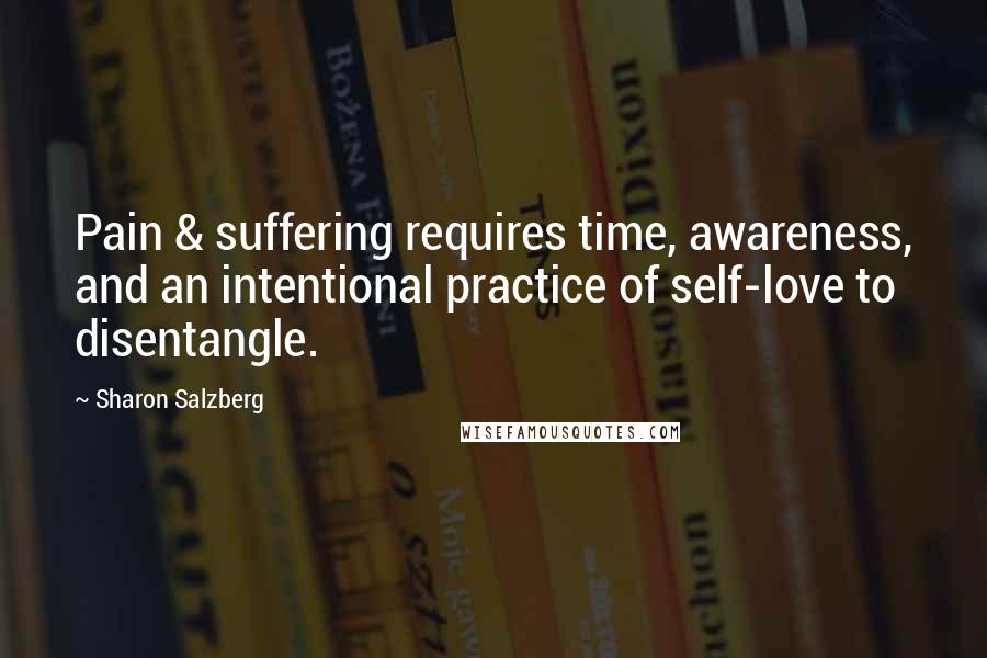 Sharon Salzberg Quotes: Pain & suffering requires time, awareness, and an intentional practice of self-love to disentangle.