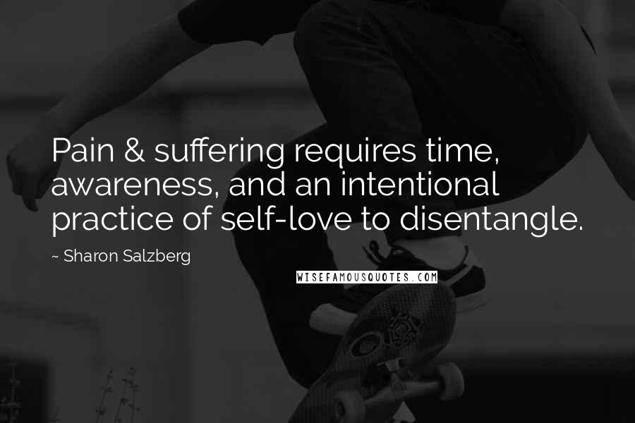 Sharon Salzberg Quotes: Pain & suffering requires time, awareness, and an intentional practice of self-love to disentangle.