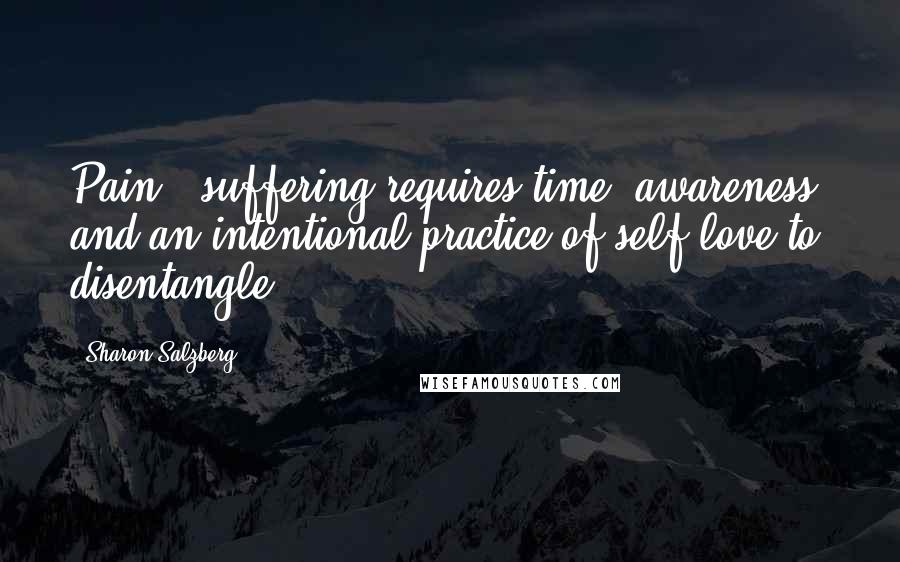 Sharon Salzberg Quotes: Pain & suffering requires time, awareness, and an intentional practice of self-love to disentangle.