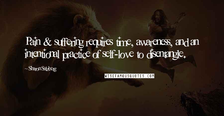 Sharon Salzberg Quotes: Pain & suffering requires time, awareness, and an intentional practice of self-love to disentangle.