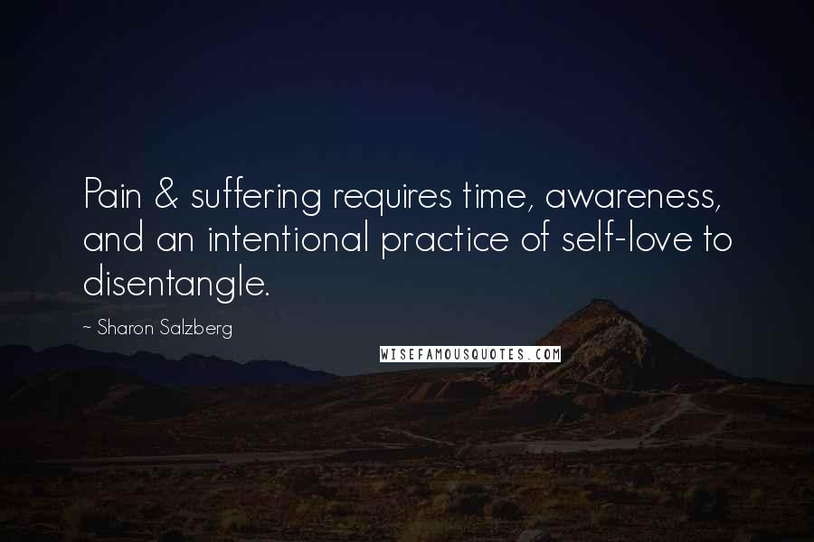 Sharon Salzberg Quotes: Pain & suffering requires time, awareness, and an intentional practice of self-love to disentangle.