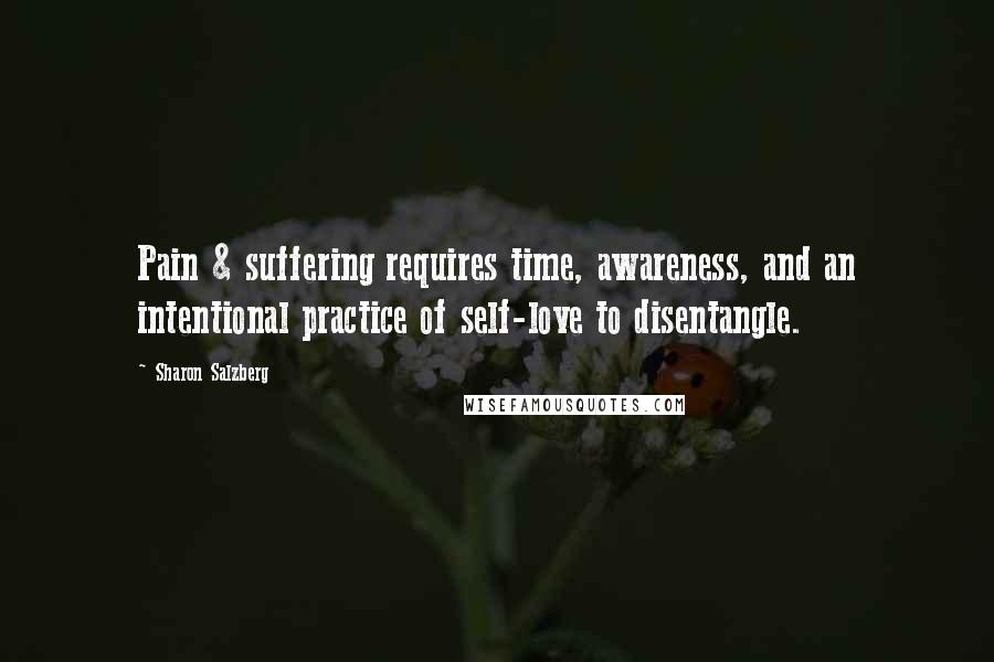 Sharon Salzberg Quotes: Pain & suffering requires time, awareness, and an intentional practice of self-love to disentangle.