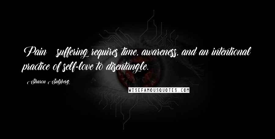 Sharon Salzberg Quotes: Pain & suffering requires time, awareness, and an intentional practice of self-love to disentangle.