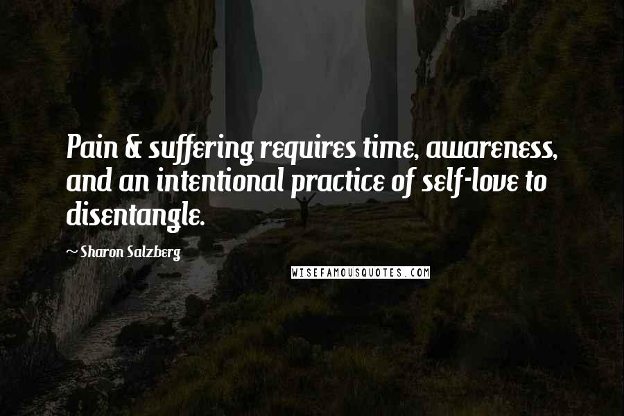 Sharon Salzberg Quotes: Pain & suffering requires time, awareness, and an intentional practice of self-love to disentangle.