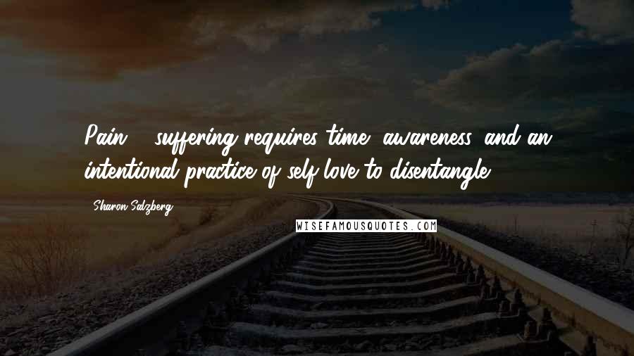 Sharon Salzberg Quotes: Pain & suffering requires time, awareness, and an intentional practice of self-love to disentangle.